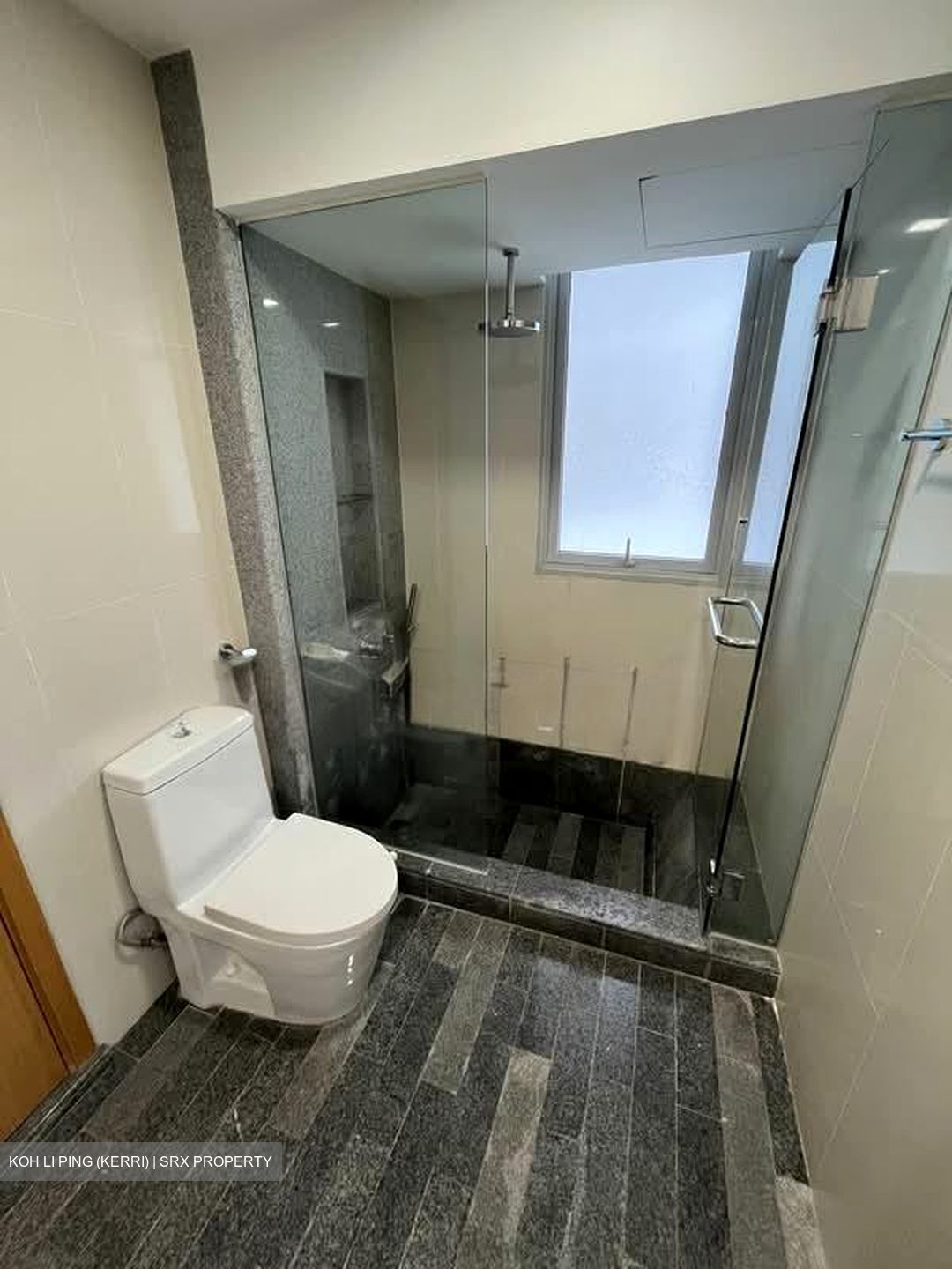 8 @ Mount Sophia (D9), Condominium #539430521